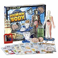 Inside Out the Human Body