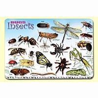 Bugs & Insects Placemat