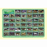 Horses Placemat
