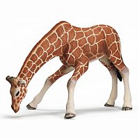 Schleich Giraffe Female, drinking