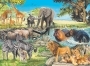 African Afternoon 100pc Puzzle