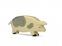 Holztiger Sow, spotted