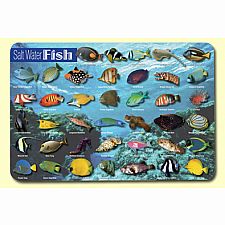 Salt Water Fish Placemat