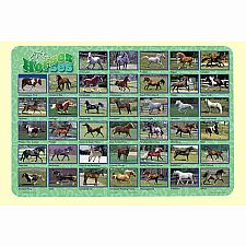 Horses Placemat