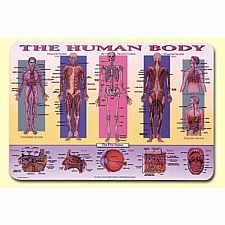 Human Body Placemat