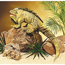 Iguana Puppet
