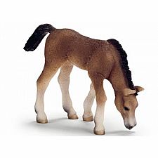 schleich tinker foal
